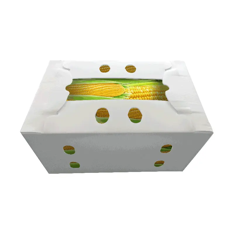 Corrugated Plastic Boxes for Fruits and Vegetables packing